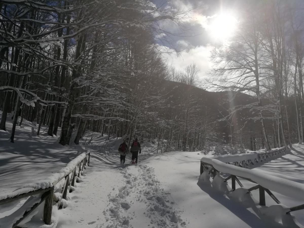 B&B Il Buon Cammino Roccamandolfi Eksteriør bilde