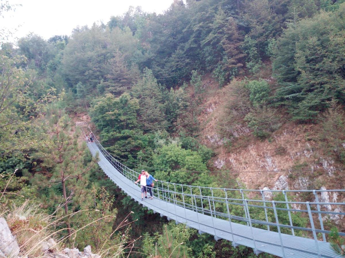 B&B Il Buon Cammino Roccamandolfi Eksteriør bilde